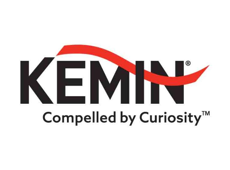 logo kemin